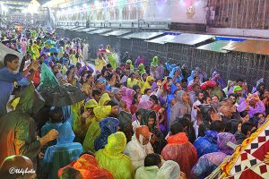 Celebrations Sri Malayappa Swamy Blesses Devotees On Gaja Vahanam _ గజవాహనంపై గోవిందుడి దివ్య కటాక్షం