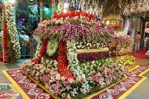 Ai Ankurarpana For Navaratri Brahmotsavams Held _ శ్రీవారి న‌వ‌రాత్రి బ్రహ్మోత్సవాలకు శాస్త్రోక్తంగా అంకురార్పణ